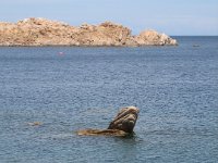 Bild 683 : Sardinien Mai 2010, Töfftour Sardinien Mai 2010